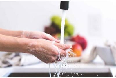 Personal Hygiene, Public and Food Safety