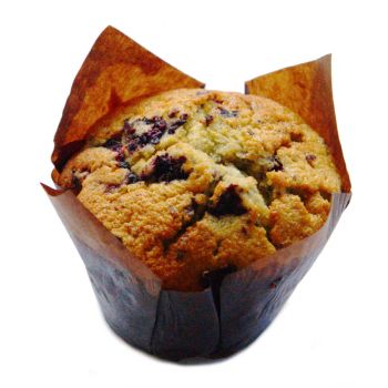 Blueberry Muffin