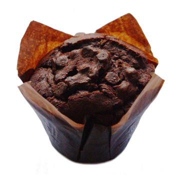 Chocolate Chip Muffin